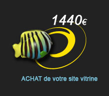 mapao-achat-site-vitrine