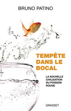 patino tempete dans le bocal