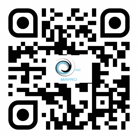 qr code MAPAO
